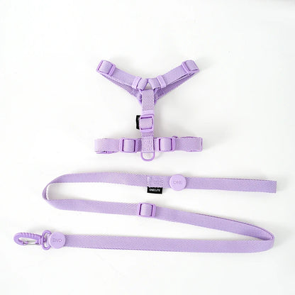 Dog Harness Dog Collar Dog Leash Macarone Color Cat Accessories Pet Small Dog Accessories Small Dog Harness Dog Supplies