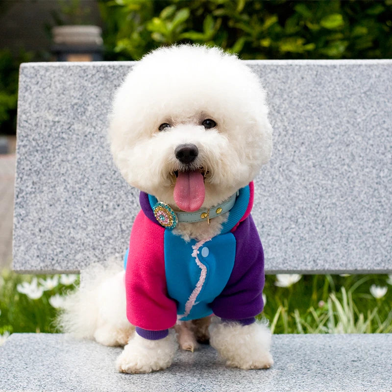 Dog Winter Coat Thick Warm Windproof Clothes Outdoor Lightweight Dog Hoodie Cotton-padded Jacket Chihuahua Yorkshire Pet Apparel