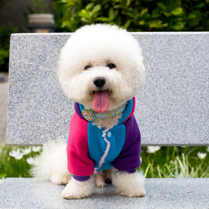 Dog Winter Coat Thick Warm Windproof Clothes Outdoor Lightweight Dog Hoodie Cotton-padded Jacket Chihuahua Yorkshire Pet Apparel