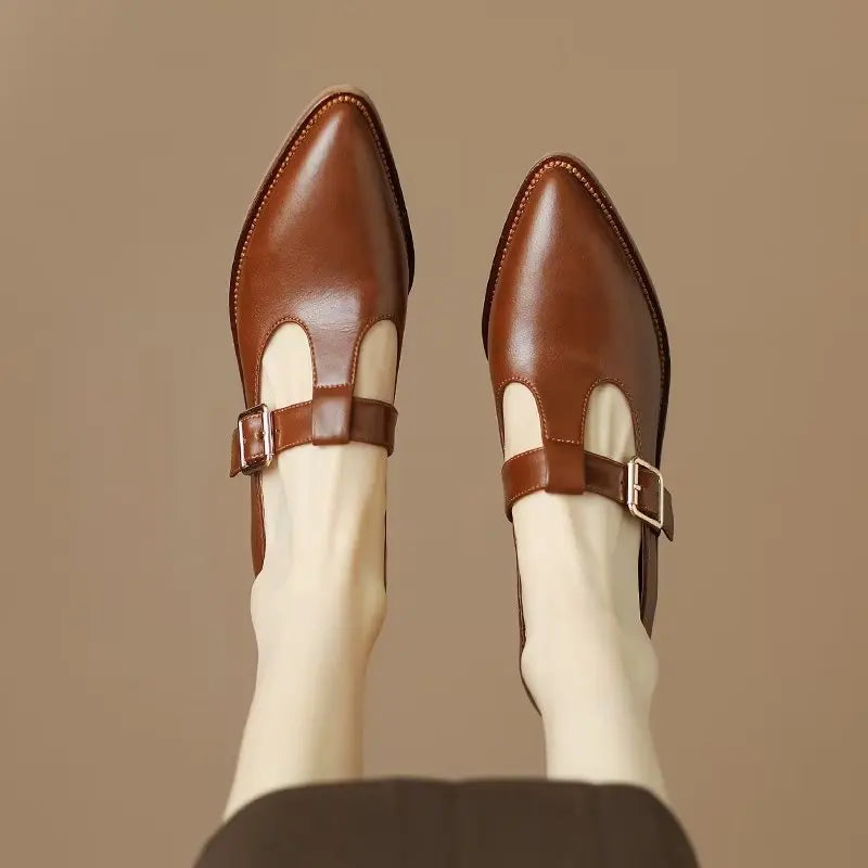 Ladies Shoes 2024 New Mary Janes Women's High Heels Fashion Buckle Strap Office and Career High Quality Pointed Toe Heels Women