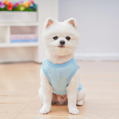 Cute Dog Cooling Vest Solid Breathable Mesh Thin Small Dog Summer Clothes  Bichon Medium Cat T Shirts Clothing Puppy Undershirt