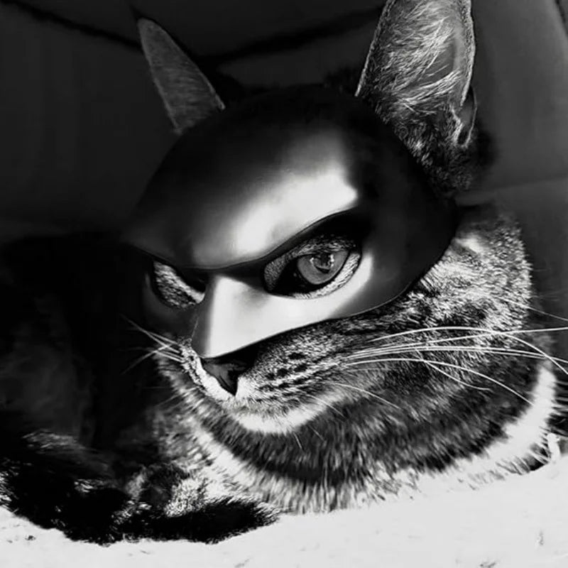 Halloween Bat Pet Mask for Cats Dogs Cool Black Cute Funny Photo Prop Pet Accessory Toy for Adults Holiday Party Decor Gift