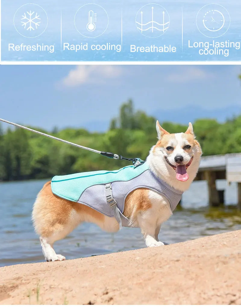 Dog Cooling Vest Harness, Lightweight Breathable Small Puppy Cooler Jacket with Adjustable Buckle for Outdoor Beach, Hiking, Tr