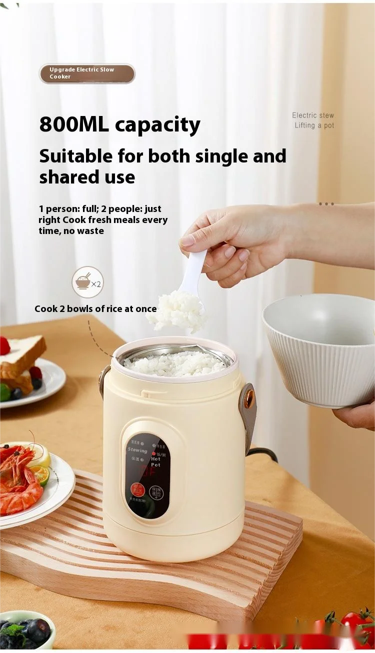 HOMEFISH Multifunctional Rice Cooker Portable Small Travel Electric Kettle Household Hot Pot with 110V US/220V EU Plug