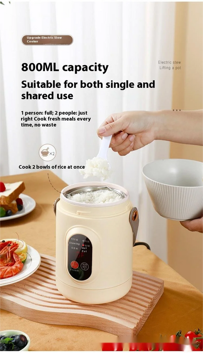 HOMEFISH Multifunctional Rice Cooker Portable Small Travel Electric Kettle Household Hot Pot with 110V US/220V EU Plug