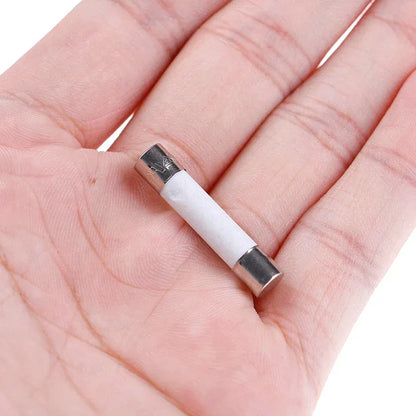 10 Pcs Microwave Ceramic Fuse Electric 20A 250V Home Supplies DIY 6x30mm Wholesale