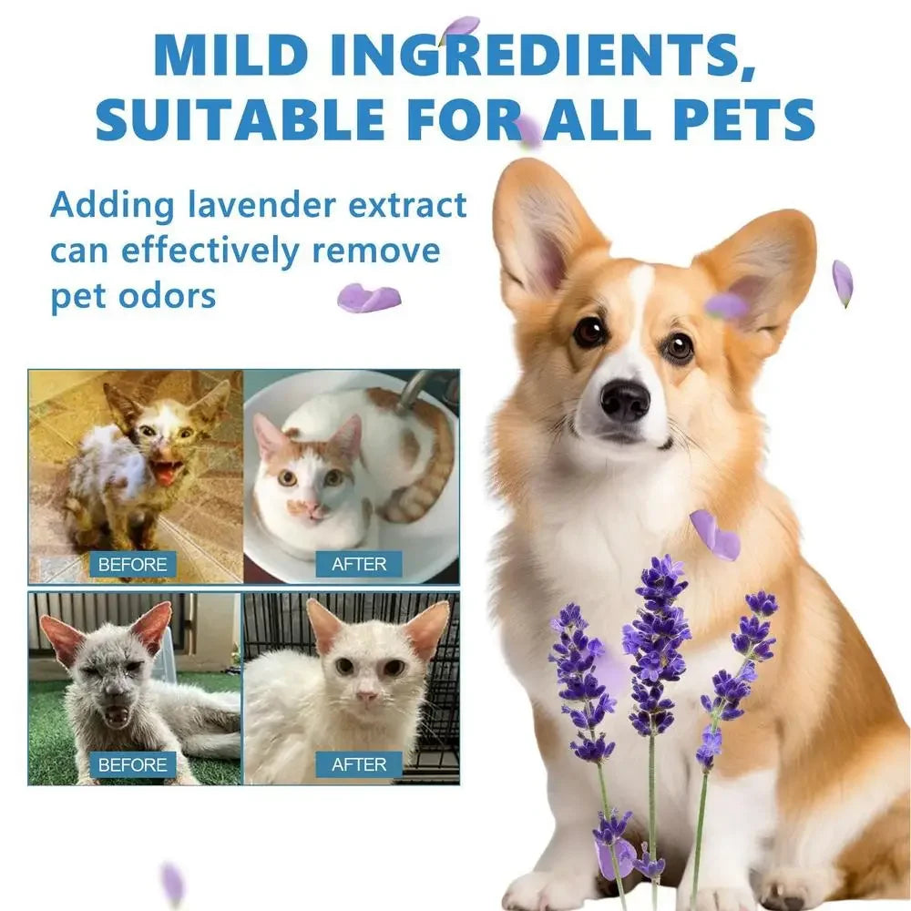 Steamed dog brush with essential oil Electric Spray Cat Hair Brush 3 in1 Dog Steamer Brush for Massage Pet Grooming Removing