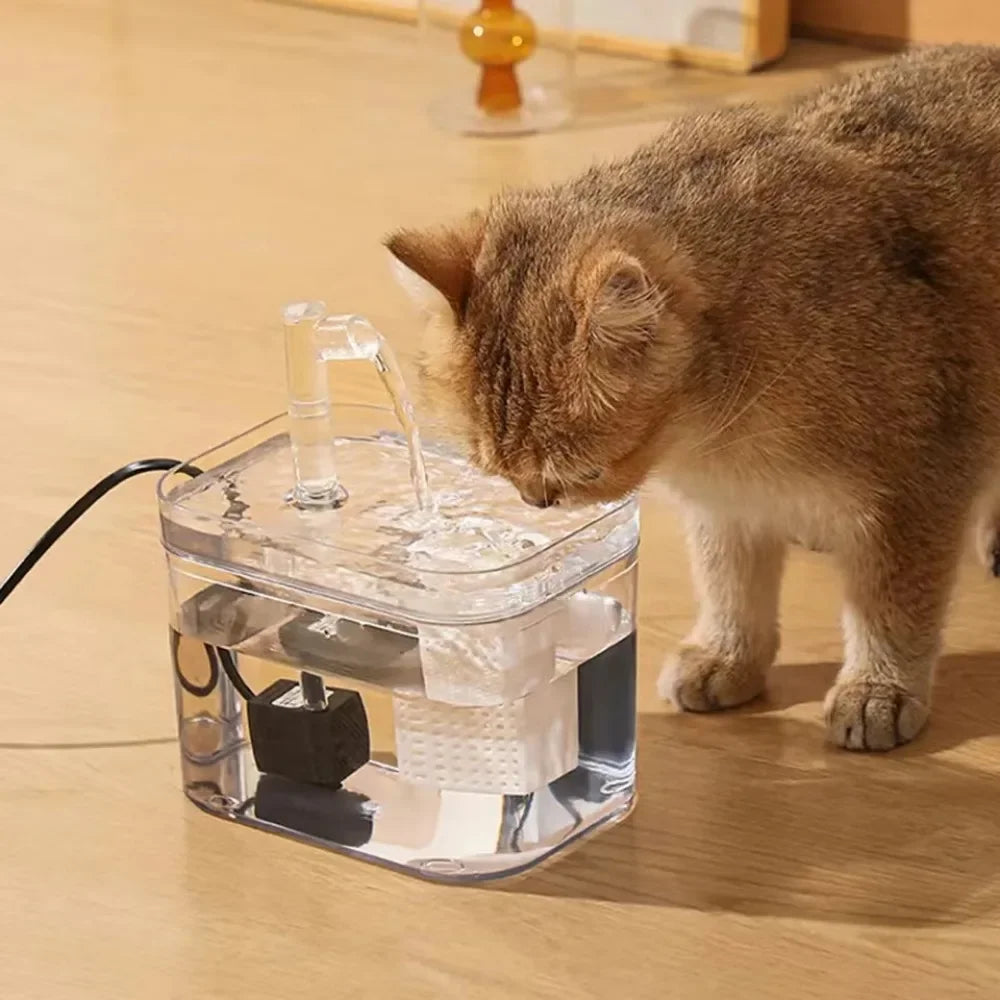 1000ml Automatic Pet Water Fountain Transparent USB Power Cat Water Dispenser for Indoor Dog and Cat Water Feeding Supplies