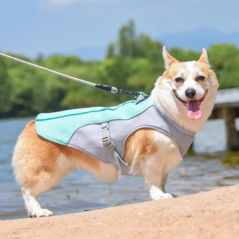 Dog Cooling Vest Dog Harness Cooler Jacket ,Reflective Breathable for Walking Dog Outdoor Camping and Hunting Training