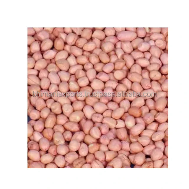 Raw Dried Red Skin Peanut Kernels 100% Natural APEDA Certified India Origin a Grade
