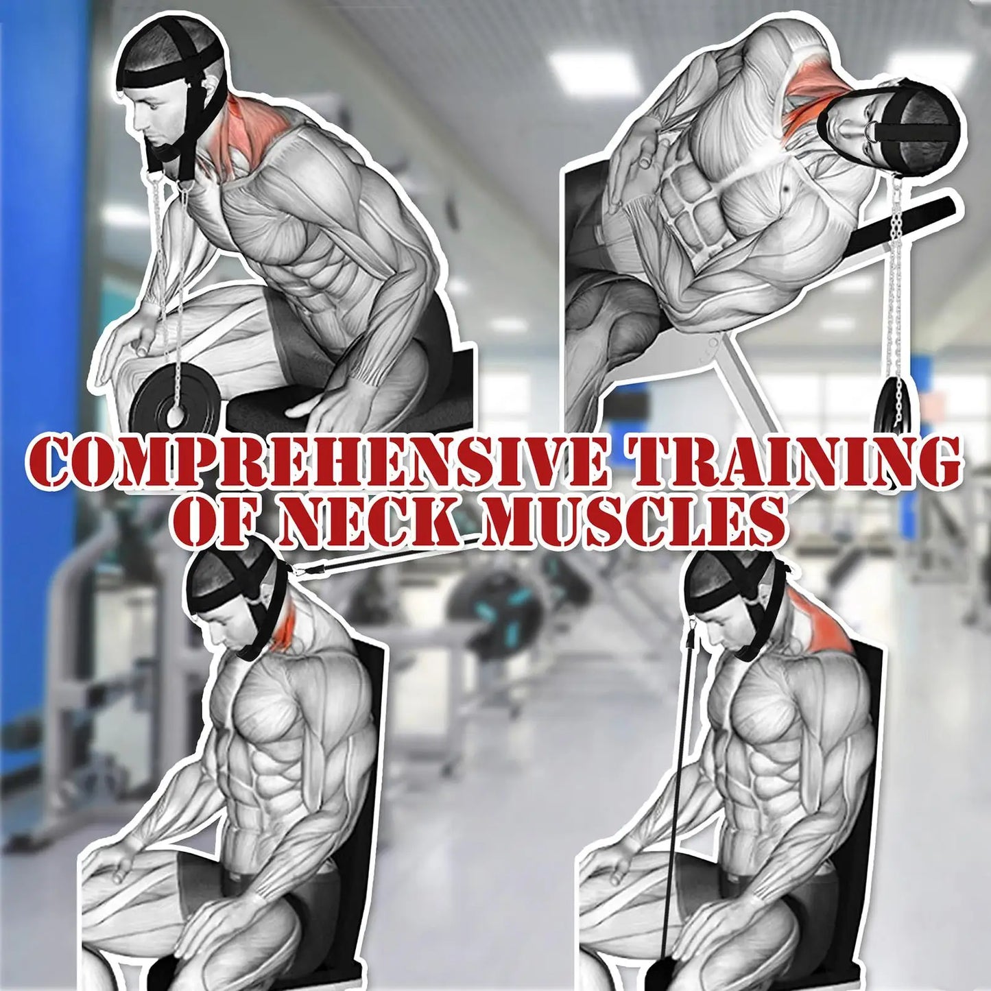 Head Harness Sports Neck Training Exerciser Strap Muscle Builder Home Gym for Strength Fitness Weight Lifting Workout Boxing MMA