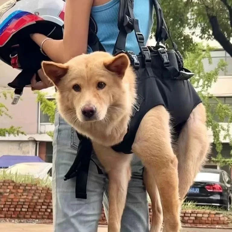 Pet Travel Backpack(3 sizes) Shoulder Carrier Outdoor Hiking Walking Durable Comfortable Oxford Fabric Dog/Cat Carrier