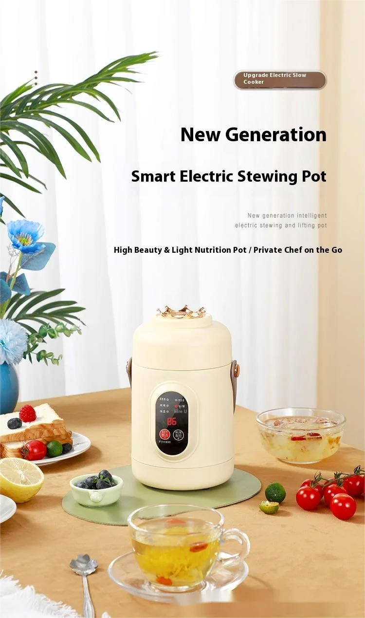 HOMEFISH Multifunctional Rice Cooker Portable Small Travel Electric Kettle Household Hot Pot with 110V US/220V EU Plug