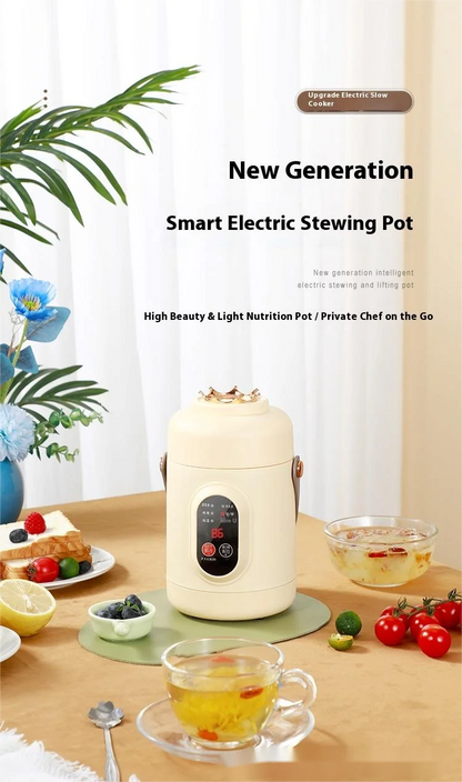 HOMEFISH Multifunctional Rice Cooker Portable Small Travel Electric Kettle Household Hot Pot with 110V US/220V EU Plug