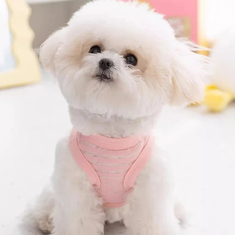 Breathable Mesh Pet Dog Vest Dog Summer Clothes Thin Cooling T Shirt Chihuahua Bichon Costume Cat Clothing Girls Puppy Shirt New