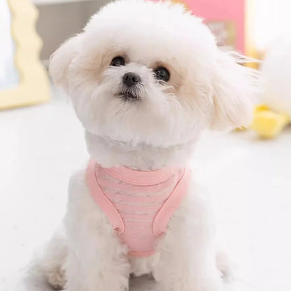 Breathable Mesh Pet Dog Vest Dog Summer Clothes Thin Cooling T Shirt Chihuahua Bichon Costume Cat Clothing Girls Puppy Shirt New