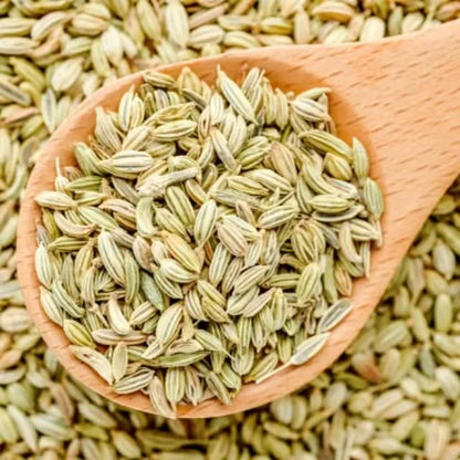 Premium Fennel Seeds Saunf Export Quality Whole Spice Sweet Aroma Cleaned Graded Bulk Supply from India Cooking Mouth Freshener
