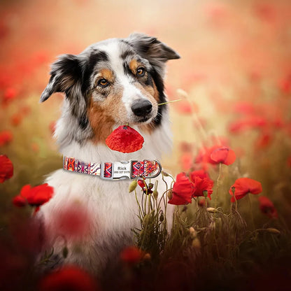 Custom Large Dog Collar Cute Print Personalized Pet Collar Nylon Puppy Dogs ID Collars Engraved Name for Small Medium Large Dog