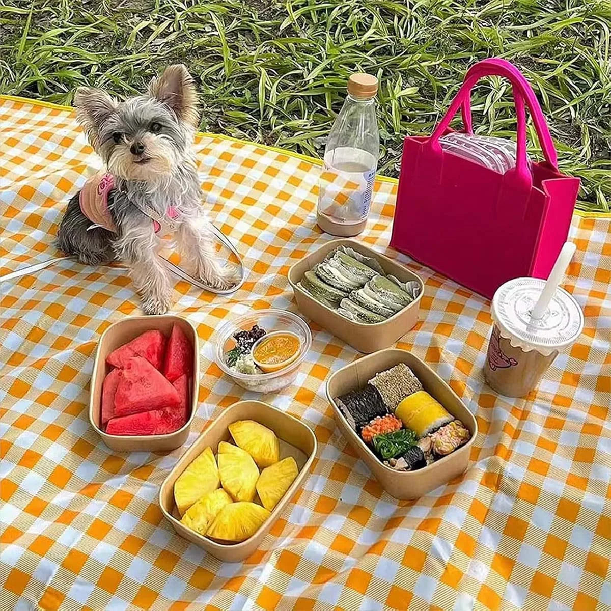 Foldable & Portable Picnic Blanket Thickened Waterproof Beach Blanket Lightweight Camping Tent Grassland Mat For Parties Travels