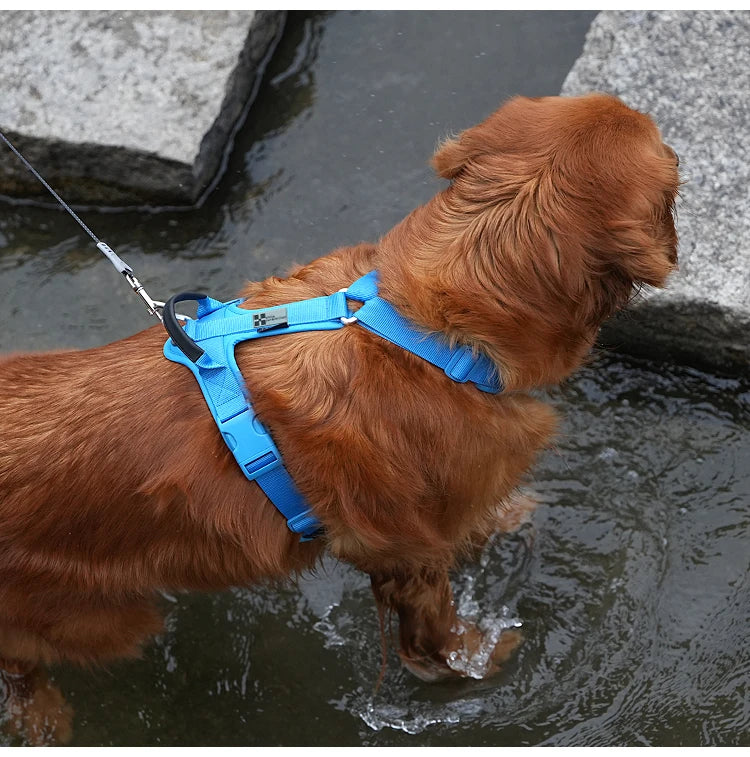 SMALL COMBINATION Pet Harness No Pull Nylon Reflective Dog Harness Adjustable Comfortable Control Walking Running Accessories