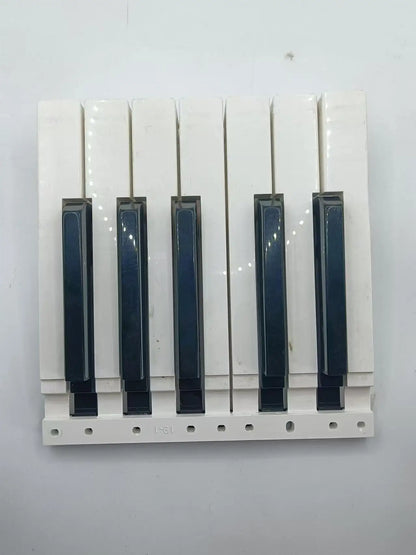 Replacement Keys for Casio Keyboard CTK-1500 1550 2080 2090 2200 2300 2400 2500 2550 3200 3400SK 3500 4200 4400 5200 6200 6250