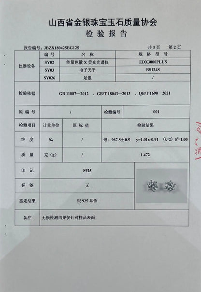 Fine Jewelry Pass Diamond Tester Pen Moissanite Hoop Earrings For Women With GRA S925 Sterling Silver For Women Ear Clasps