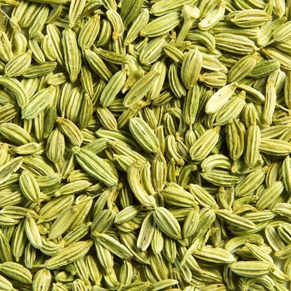 Premium Fennel Seeds Saunf Export Quality Whole Spice Sweet Aroma Cleaned Graded Bulk Supply from India Cooking Mouth Freshener