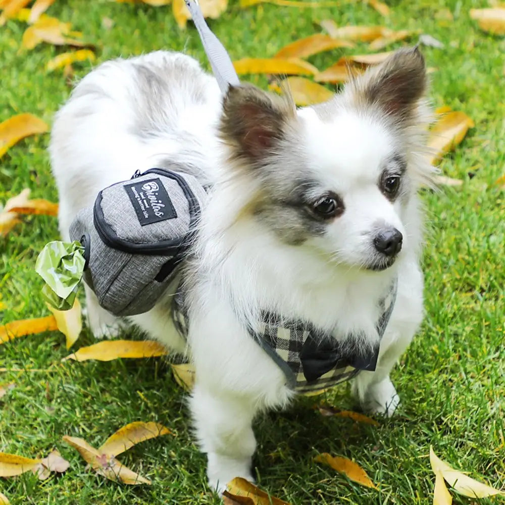 Portable Dog Training Treat Bag Outdoor Pet Dog Treat Pouch Puppy Snack Reward Waist Bag Dog Poop Bag Dog Carriers Bags