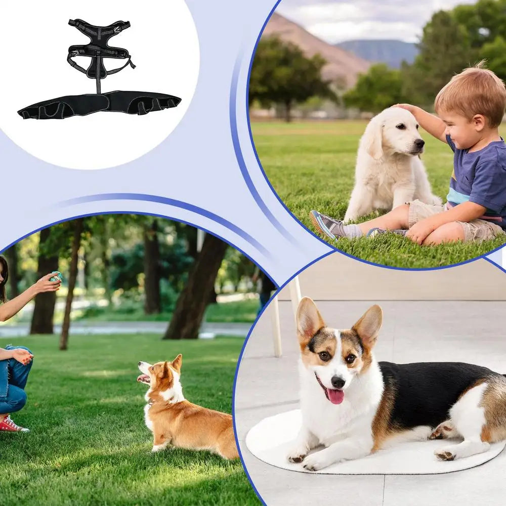 Orthopedic Brace For Dogs Pet Joint Hip Support Brace Adjustable Leg Support For Keeping Animal Joints Warm And Stable