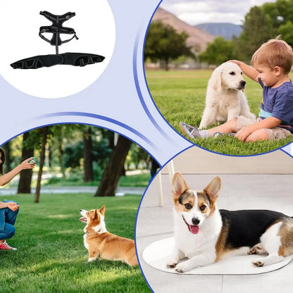 Orthopedic Brace For Dogs Pet Joint Hip Support Brace Adjustable Leg Support For Keeping Animal Joints Warm And Stable