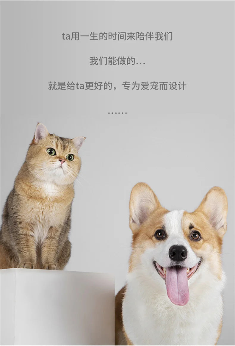 Pet Supplies Color Slow Feeder Cat Bowl Anti-choking Plastic Dog Puzzle Food Bowl, Dog Water Basin For Anxiety Relief