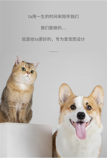 Pet Supplies Color Slow Feeder Cat Bowl Anti-choking Plastic Dog Puzzle Food Bowl, Dog Water Basin For Anxiety Relief
