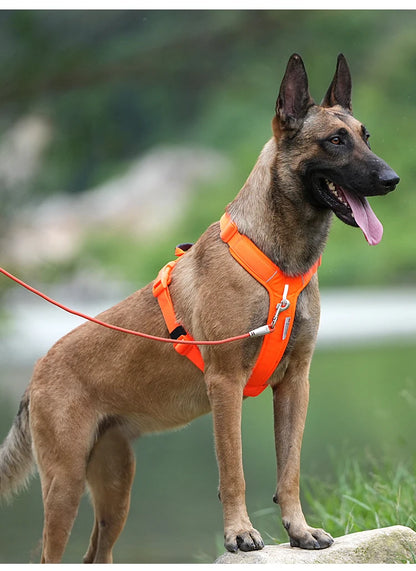 SMALL COMBINATION Pet Harness No Pull Nylon Reflective Dog Harness Adjustable Comfortable Control Walking Running Accessories