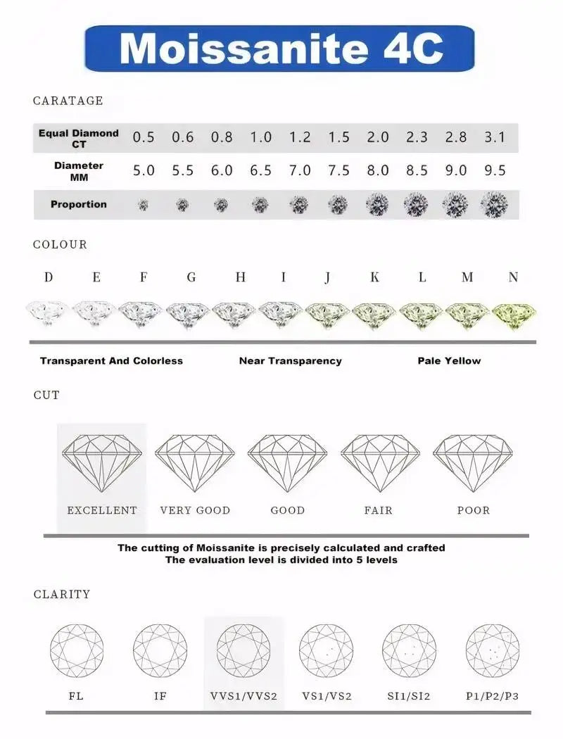 Taoyu 3CT 925 Sterling Silver Moissanite Earrings For Women Men Zircon Drop Earrings Minimalist Fine Jewelry D VVS1 Diamond Gift