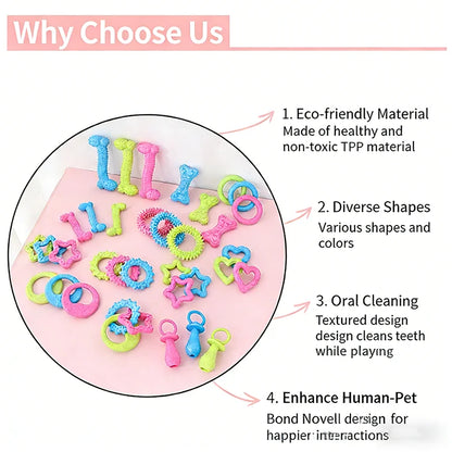 Pet Chew Toys Set Bone Pacifier Thorn Ring TPR Dog Molar Stick Teeth Cleaning Bite Resistant Puppy Teething Toy Boredom Relief