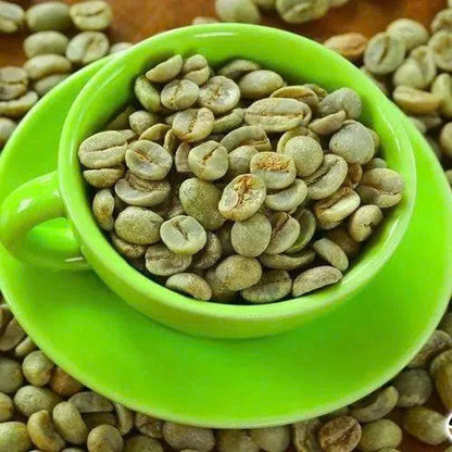 Vietnam Robusta Green Coffee Beans Grade 1 Size 16 18 Traceable Source Premium Quality Bulk Supply Factory Export