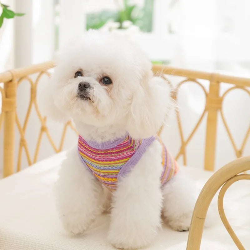 Breathable Mesh Pet Dog Vest Dog Summer Clothes Thin Cooling T Shirt Chihuahua Bichon Costume Cat Clothing Girls Puppy Shirt New