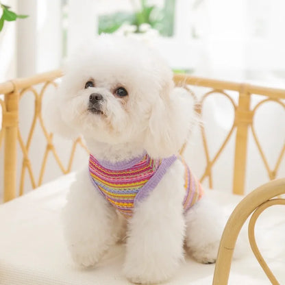 Breathable Mesh Pet Dog Vest Dog Summer Clothes Thin Cooling T Shirt Chihuahua Bichon Costume Cat Clothing Girls Puppy Shirt New