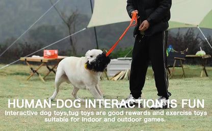 Dog Rope Toy Interactive Dog Bungee Chaser Toy with Rubber Ball Pet Tug Toy Sheepskin for Medium Large Dogs Exercise Outdoor
