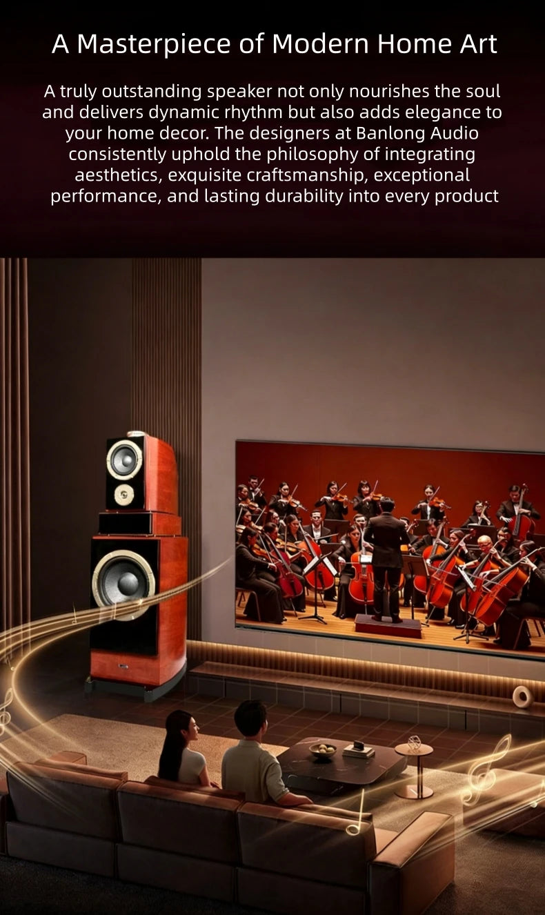 BN838 Hi-Fi Home Theater Speakers with Karaoke Amplifier, Luxury Audio System for Villa & Large Living Rooms