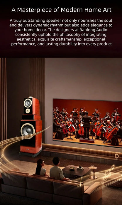 BN838 Hi-Fi Home Theater Speakers with Karaoke Amplifier, Luxury Audio System for Villa & Large Living Rooms