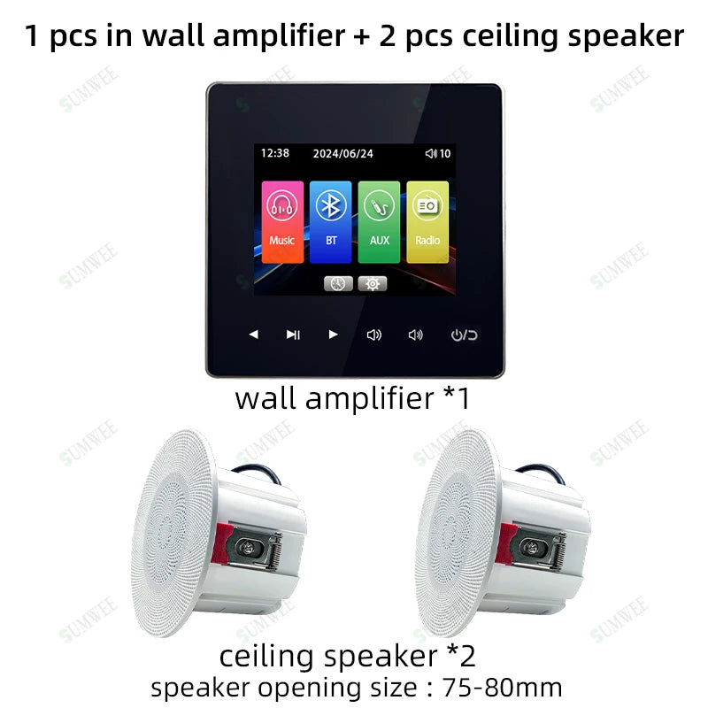 Home theater Background music system audio in wall power amplifier bluetooths player sound TF AUX control panel ceiling speakers