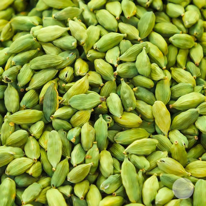 Western Ghats 8mm Fresh Raw Super Green Cardamom Whole Pod Intense Flavor Herbal Seasoning Commercial Bulk Distribution Export