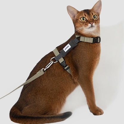 Cat Harness Leash Set Traction Rope Kitten Chest Strap Pet Outdoor Supplies for Pet Breathable Harness Leash Puppy Cat Vest