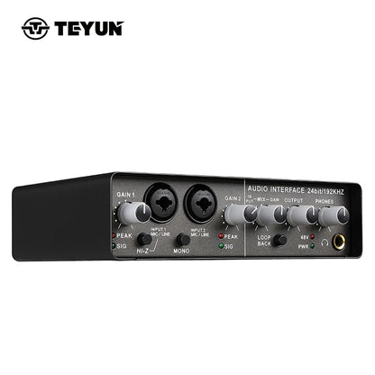 TEYUN Q-24 Q-22 Q-12 Professional Sound Card Audio Mixer Channel Monitoring Electric Guitar Live Recording For Studio Singing