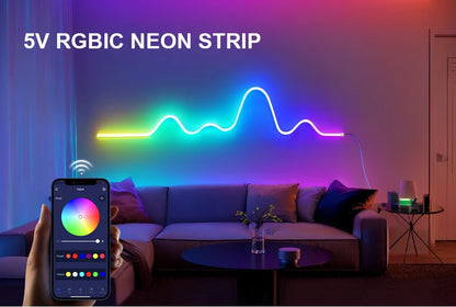 WS2812 RGBIC RGB LED Neon Light Strip,5V USB Waterproof Bluetooth Diode Neon Tape Ribbon with Remote for Room Ceiling Decoration
