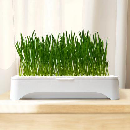 Pet Cat Grass Planting Basin Soilless Culture Wheat Seedling Pot Kitten Grass Hydroponic Device Horticultural Planting Pot