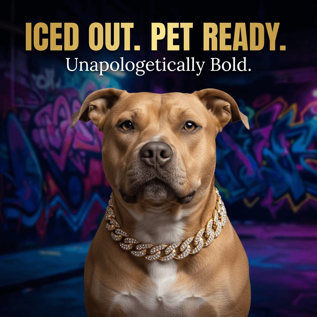 Luxury Hip Hop Dog Collar, Gold Tone Stainless Steel Cuban Chain, Durable Diamond Inlaid Pet Jewelry for Daily Walking