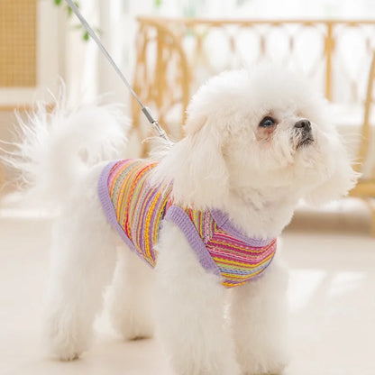 Breathable Mesh Pet Dog Vest Dog Summer Clothes Thin Cooling T Shirt Chihuahua Bichon Costume Cat Clothing Girls Puppy Shirt New