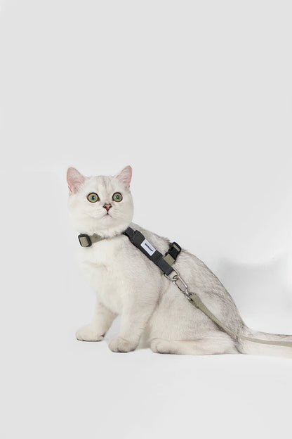 Cat Harness Leash Set Traction Rope Kitten Chest Strap Pet Outdoor Supplies for Pet Breathable Harness Leash Puppy Cat Vest